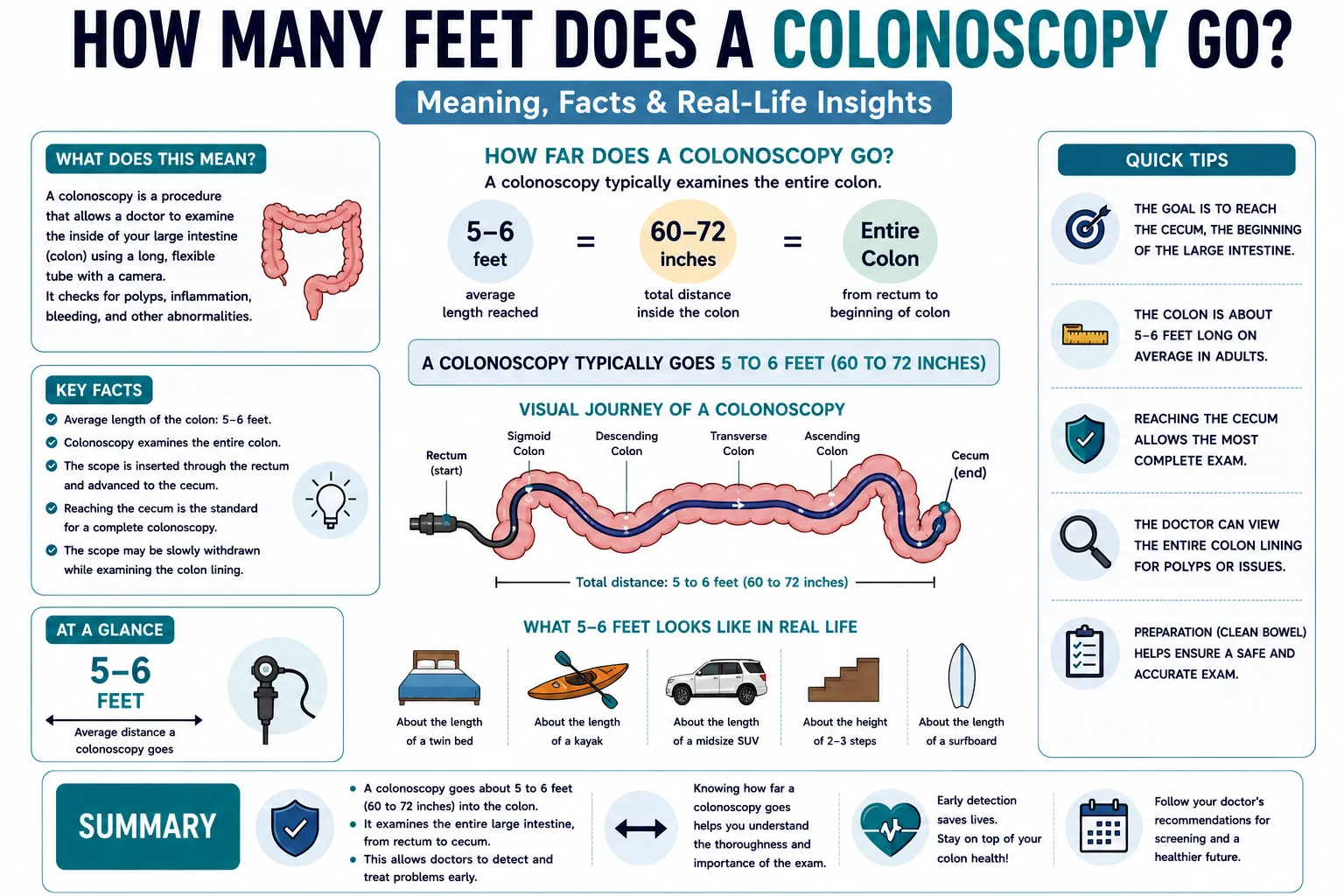 How Many Feet Does a Colonoscopy Go